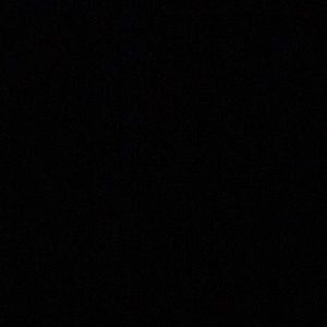 Meet your Posher, Sammy